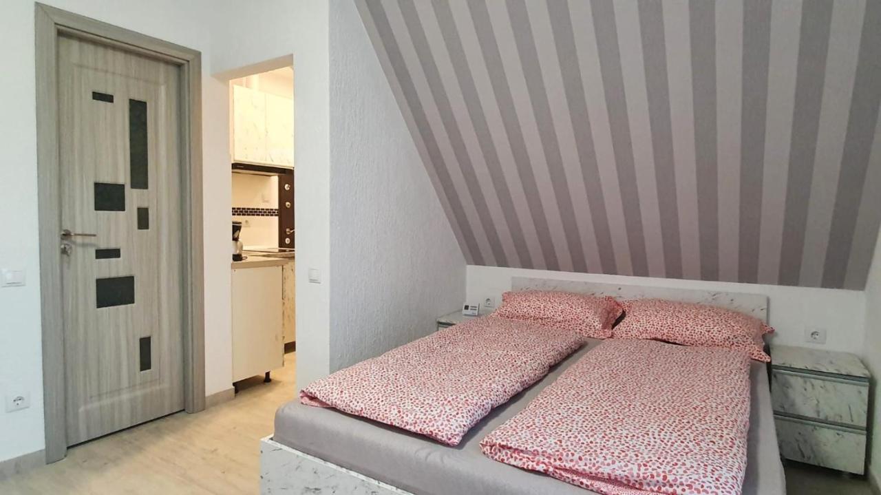 Studio V&P Sibiu Extérieur photo